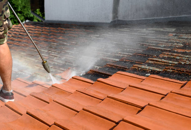 Best Power Washing Near Me  in Fountain, CO