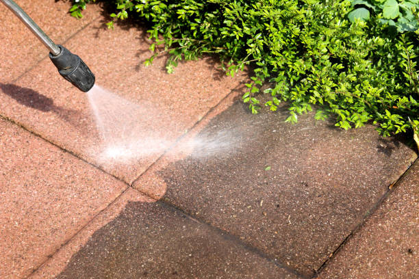 Best Commercial Building Pressure Washing  in Fountain, CO